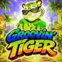 Grooving Tiger